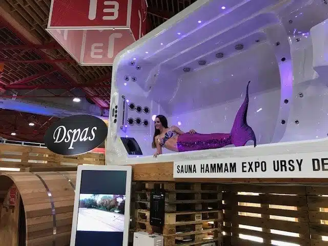 Dspas à la foire du Valais